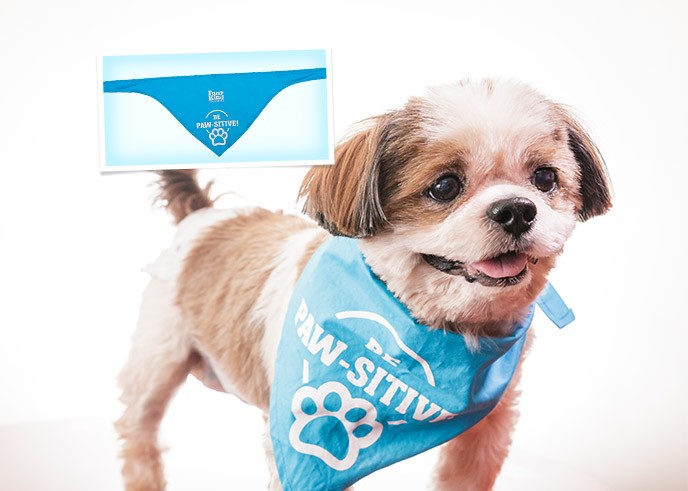 Friendly Dog Bandana For Large Dogs Friendly Dog Bandana For Large Dogs